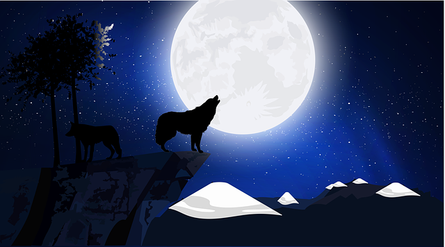 Download free HD stock image of Wolf Twilight Free wolf twilight new moon illustration