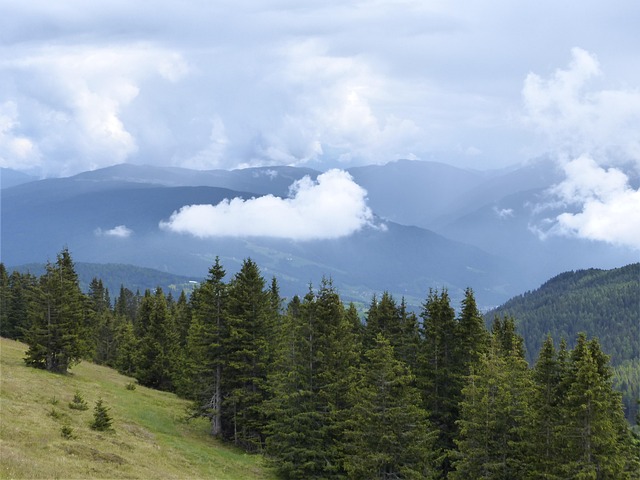 Wolken, Berge, Wald, Landschaft, Wälder