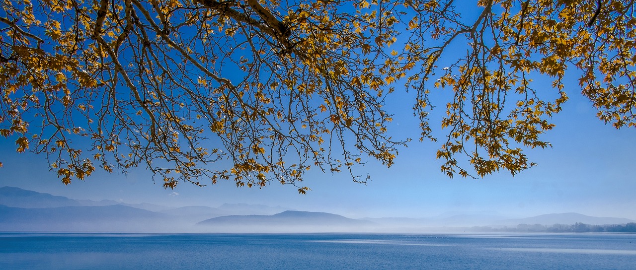 Lake - free online jigsaw puzzle photo