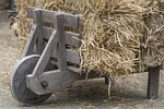 wheelbarrow, hay, antique