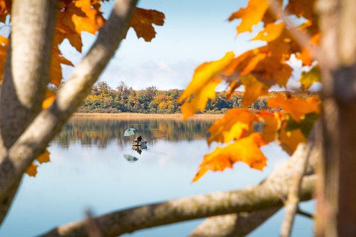 Free Fall Pond photo and picture