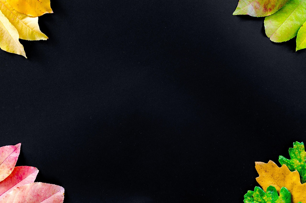 Autumn - free online jigsaw puzzle photo