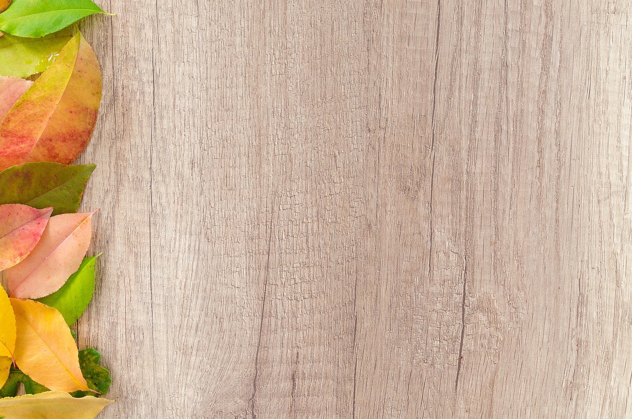 Autumn - free online jigsaw puzzle photo