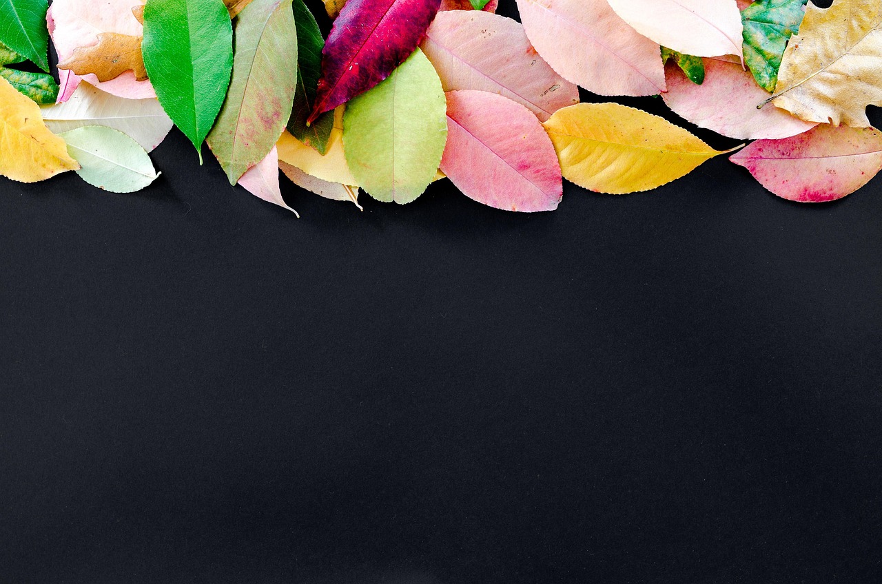 Autumn - free online jigsaw puzzle photo