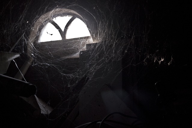 Free Cobwebs Light photo and picture