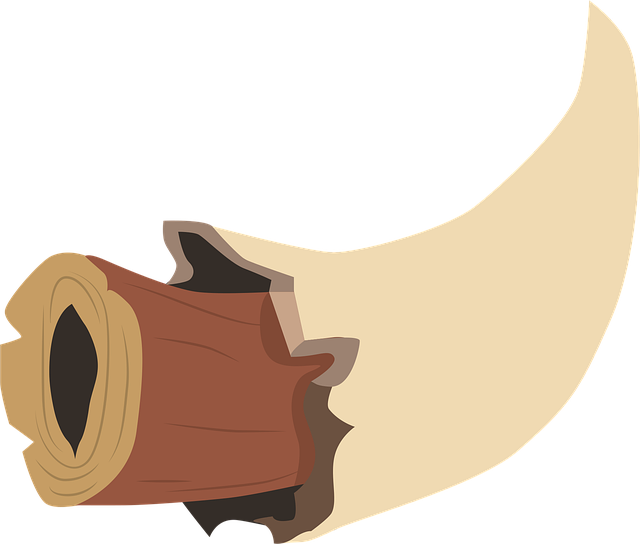 Free horn wind instrument musical instrument illustration