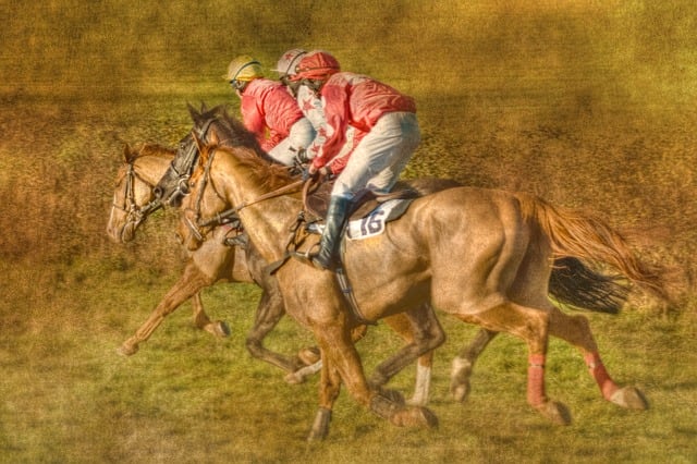 Free point to point horse racing black forest farm illustration