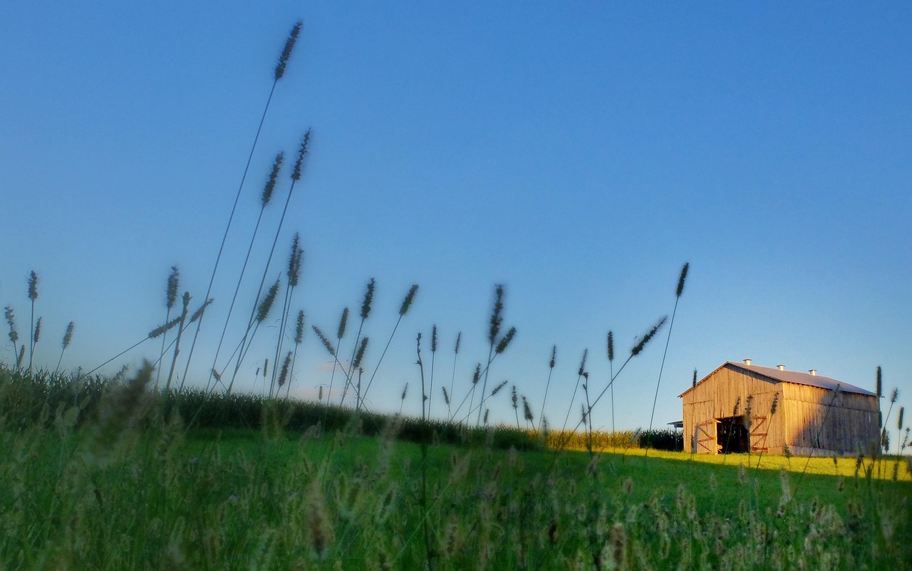 Barn - free online jigsaw puzzle photo