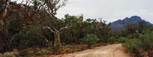 Free Outback Australia Flinders Ranges photo and picture