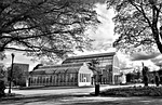 gothenburg, the palm house, the garden society of gothenburg