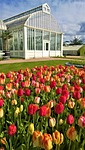 gothenburg, the garden society of gothenburg, the palm house