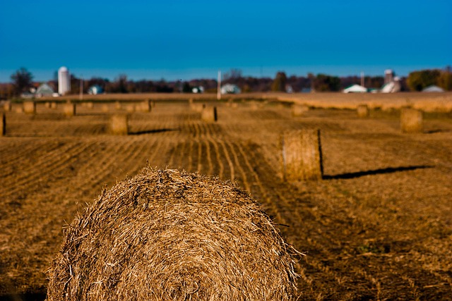 Free Fields Fall photo and picture