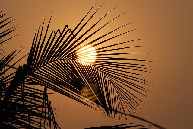 Zon, Zonsondergang, Zomer, Natuur, Licht