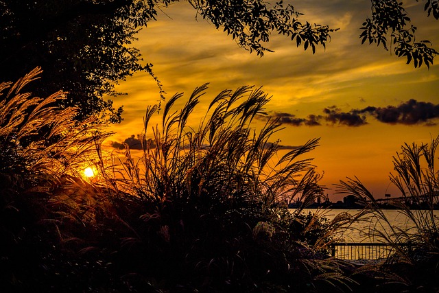 Free Sunset Water photo and picture