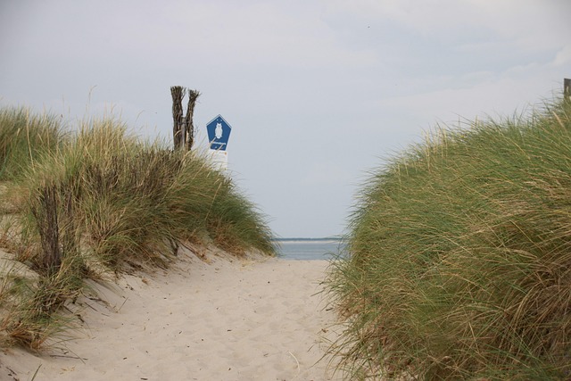 Ellenbogen, Natur, Dünen, Norden