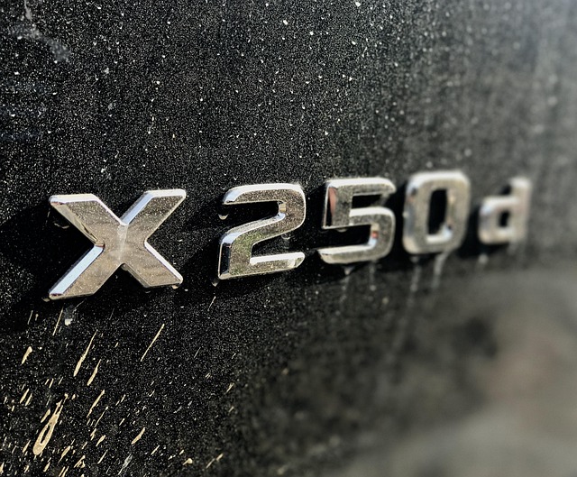 Free Mercedes Xklasse photo and picture