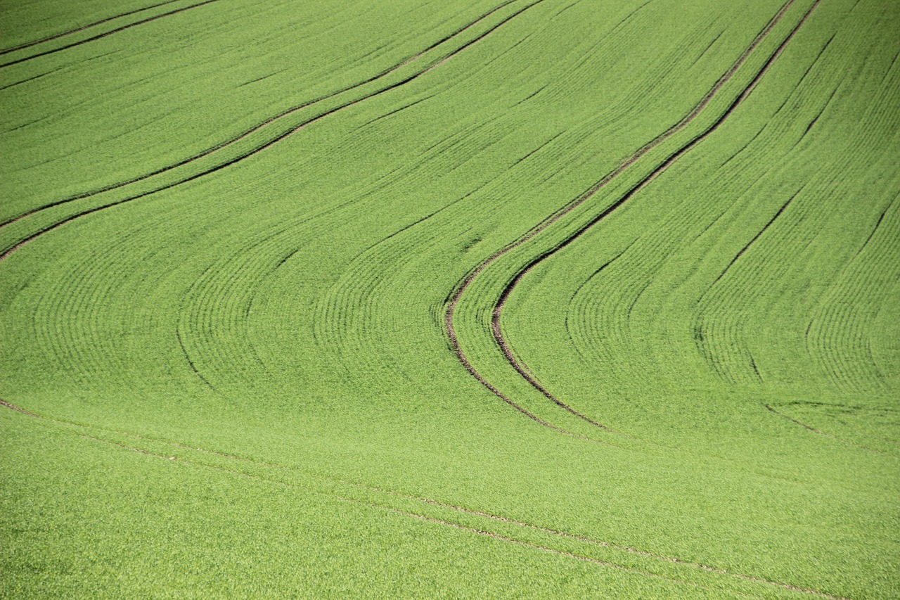 Agriculture Field Structure Green - Free photo on Pixabay - Pixabay