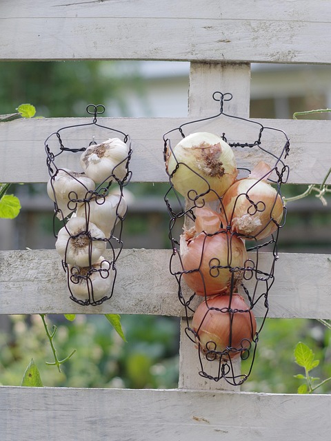 Free Onions Garlic photo and picture