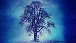 winter, snow, tree
