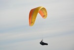 paragliders, practice in free flight, paramotor