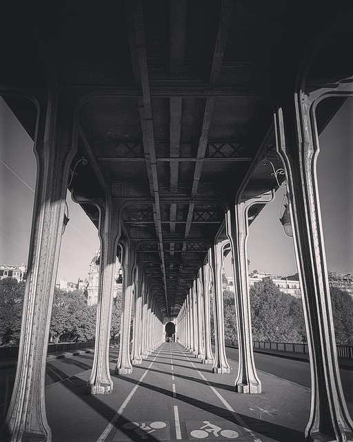 Free Bridge Bir-Hakeim photo and picture