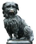 dog, animal, pet