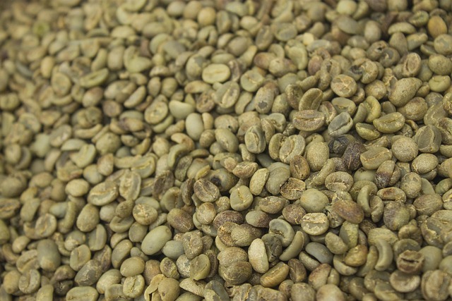 Samen Von Kaffee Ohne Schale Getrocknet