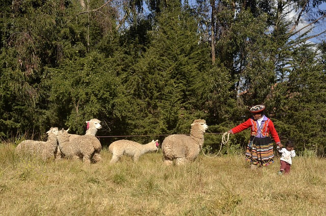 Peru, Reisen, Tourismus, Inka