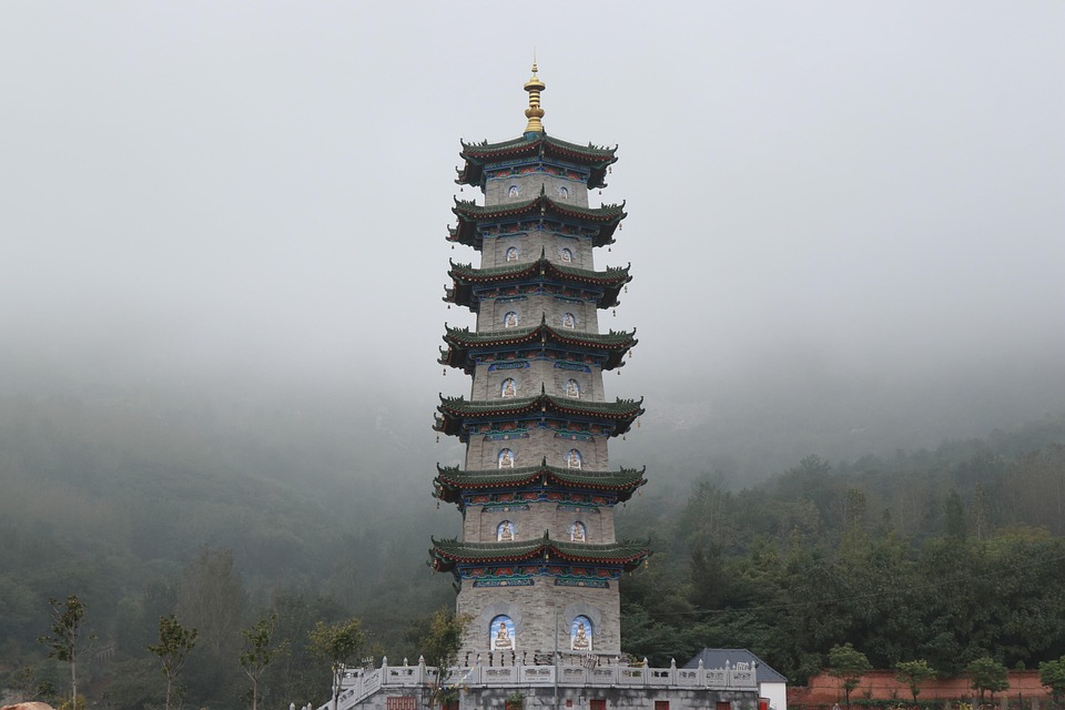 养眼在线