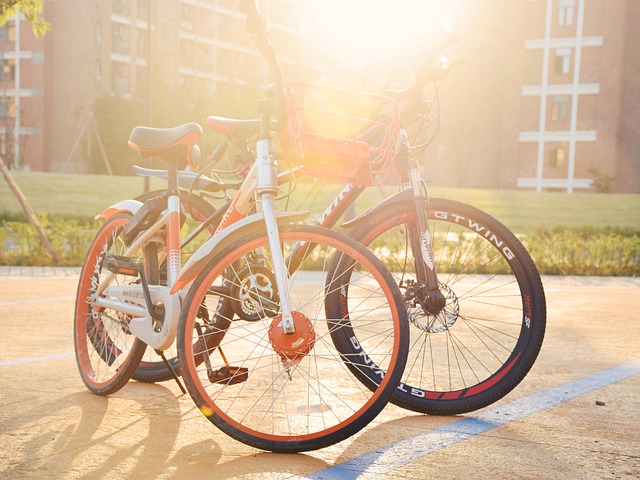 Free Campus Bike photo and picture