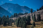 autumn, pahalgam, autumn season