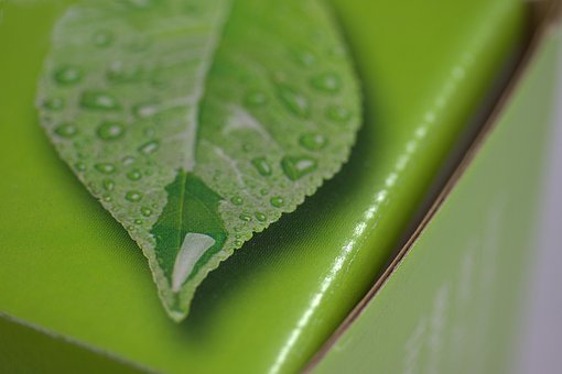 Free Box Print photo and picture