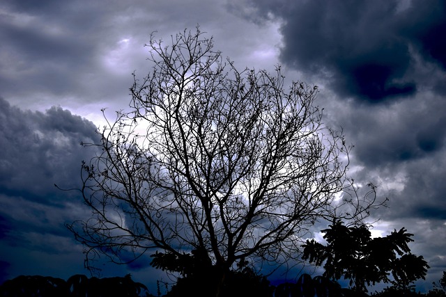 Más de 8 imágenes gratis de Alborada y Naturaleza - Pixabay