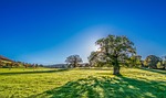autumn sunshine, yorkshire, desktop wallpaper