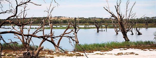 Free Lake Nature photo and picture