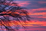 morgenrot, clouds, tree