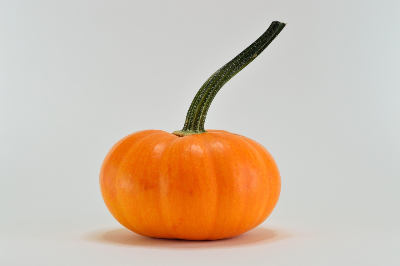 Pumpkin - free online jigsaw puzzle photo