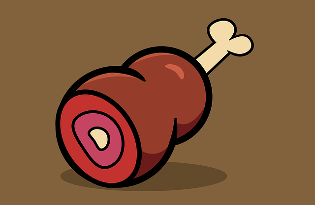 Free meat leg jamon illustration