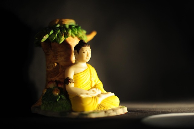Buddha, Oplysning, Meditation, Visdom
