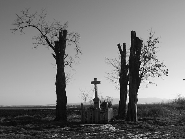 Free Faith Cross photo and picture