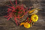halloween, pumpkin, decoration