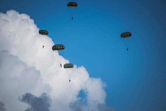 Free Paratroopers Military photo and picture