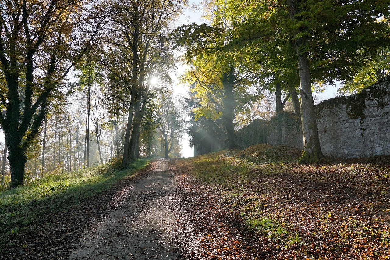 Fall - free online jigsaw puzzle photo