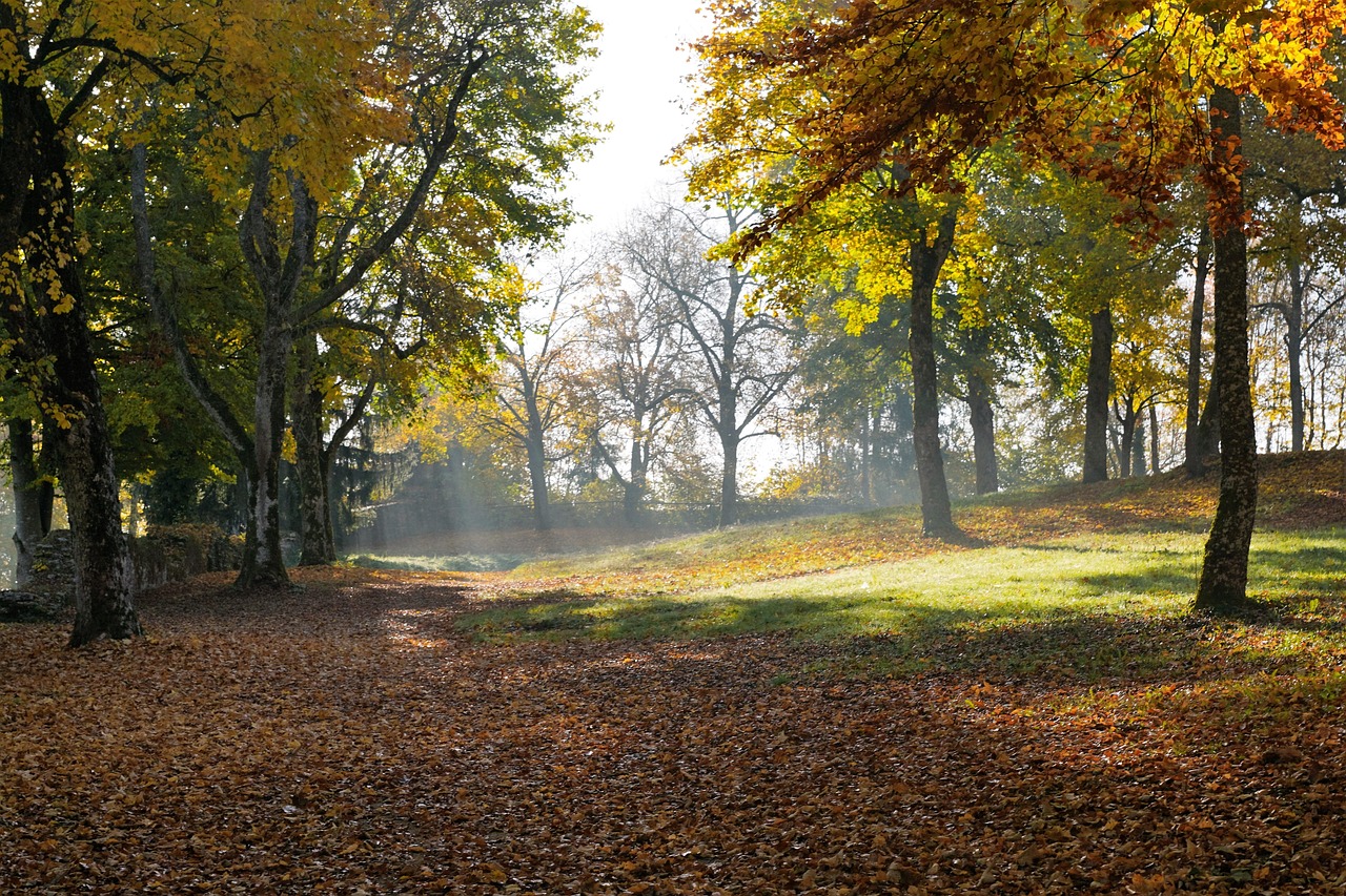 Fall - free online jigsaw puzzle photo