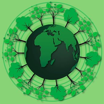 Erde, Wald, Forstwirtschaft, Natur