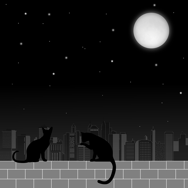 Moon, Katte, Nat