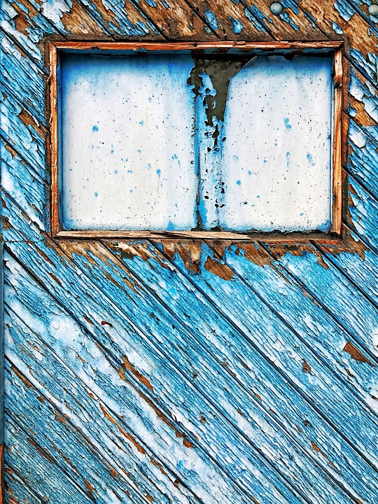 日小浪b小说