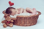 newburn, basket, toy