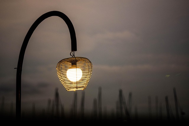 Free Lamp Night photo and picture