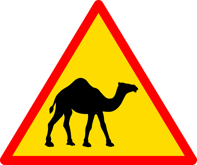Free sign road road sign vector